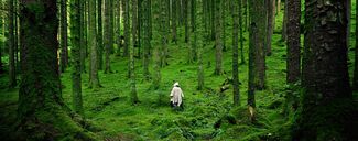 Nature-deficit disorder