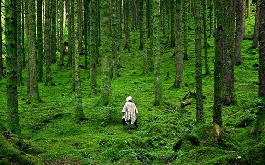 Nature-deficit disorder